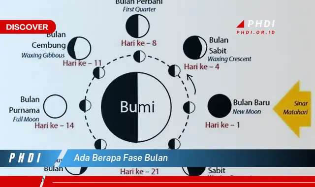 ada berapa fase bulan