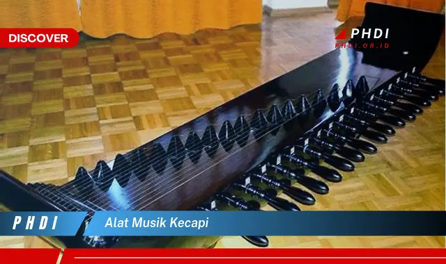 alat musik kecapi