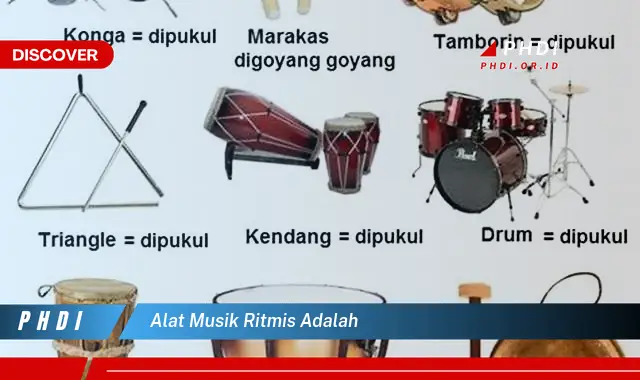 alat musik ritmis adalah