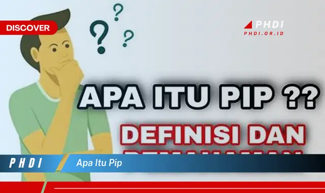 apa itu pip