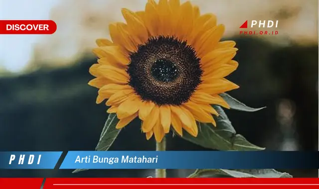 arti bunga matahari