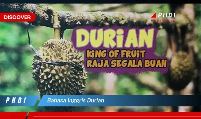 bahasa inggris durian