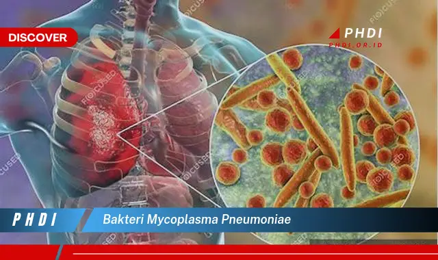Intip Bakteri Mycoplasma Pneumoniae yang Wajib Kamu Tahu!
