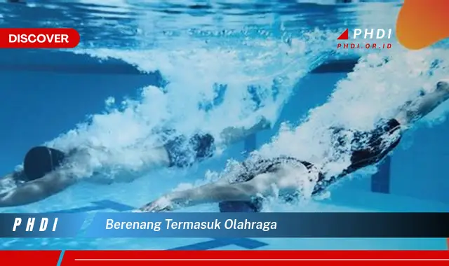 berenang termasuk olahraga