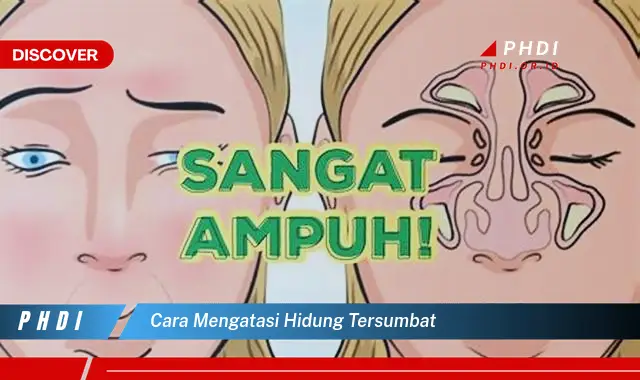 cara mengatasi hidung tersumbat