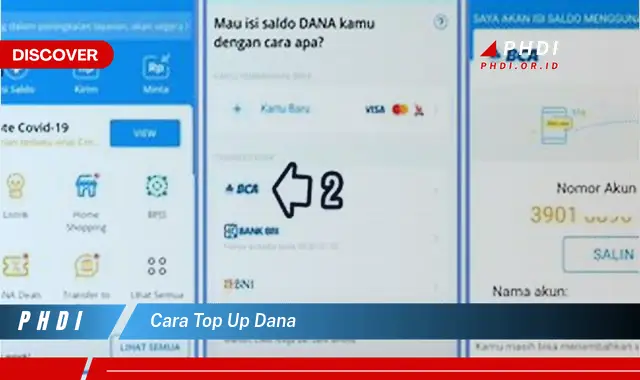 cara top up dana