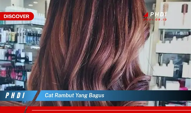 cat rambut yang bagus