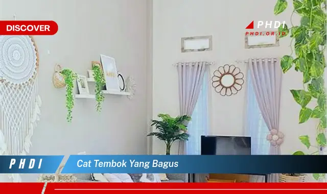 cat tembok yang bagus