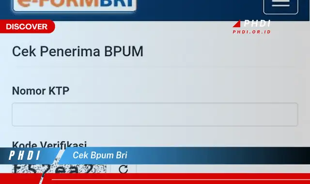 cek bpum bri