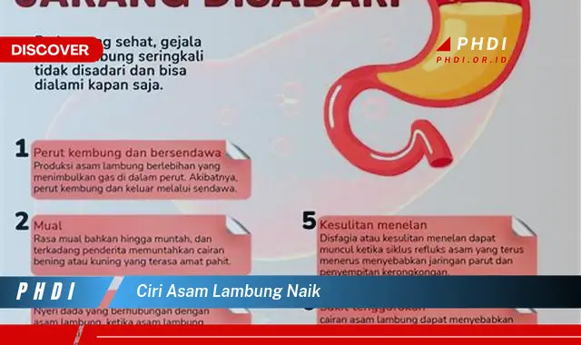 ciri asam lambung naik