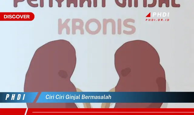 Kepoin Yuk! Ciri-ciri Ginjal Bermasalah yang Jarang Diketahui