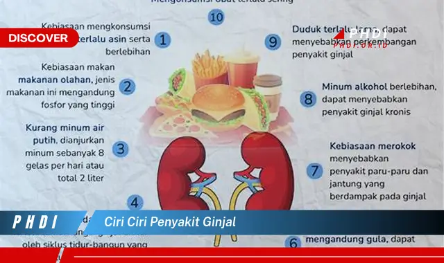 Intip Ciri-ciri Penyakit Ginjal yang Jarang Diketahui