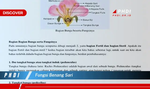 fungsi benang sari