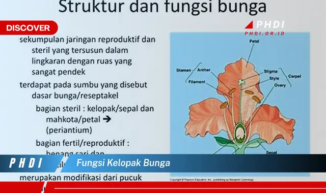 fungsi kelopak bunga