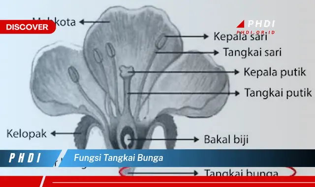 fungsi tangkai bunga