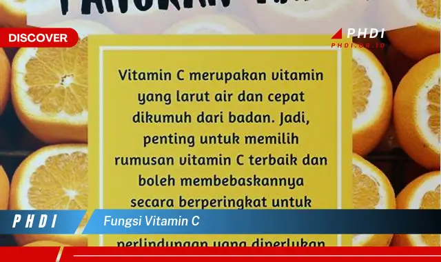 fungsi vitamin c