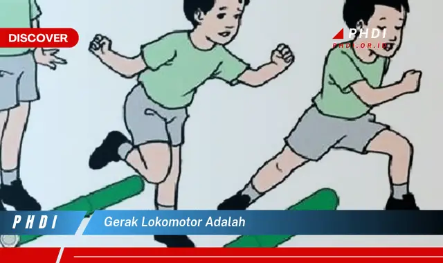 gerak lokomotor adalah