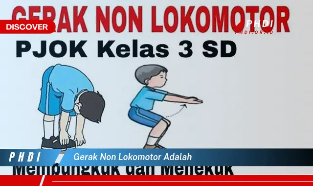 gerak non lokomotor adalah