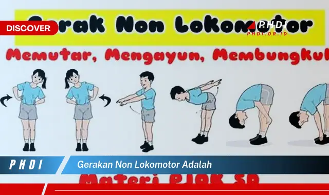 gerakan non lokomotor adalah