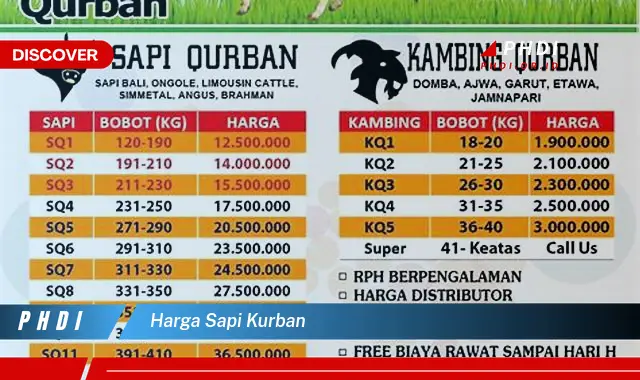 harga sapi kurban