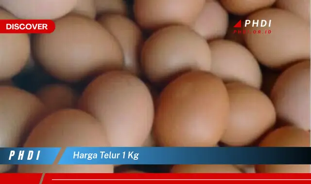 harga telur 1 kg