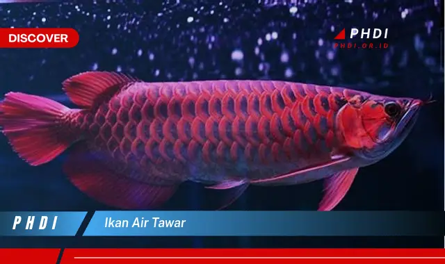 ikan air tawar