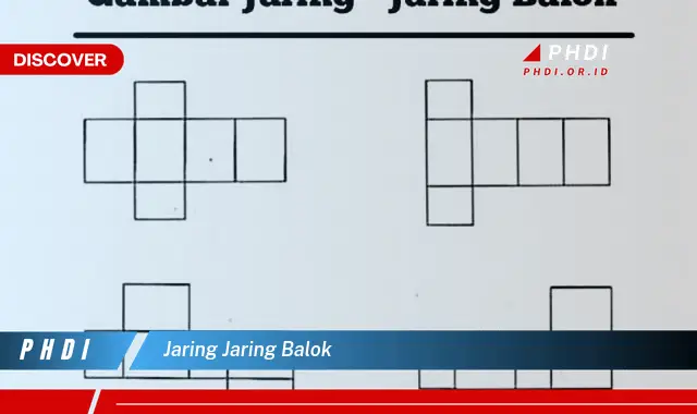 jaring jaring balok