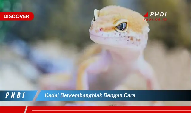 kadal berkembangbiak dengan cara