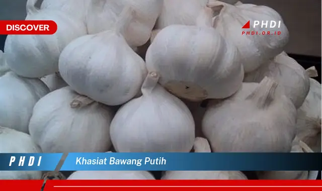 khasiat bawang putih