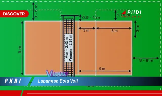 lapangan bola voli