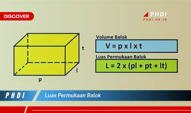 luas permukaan balok