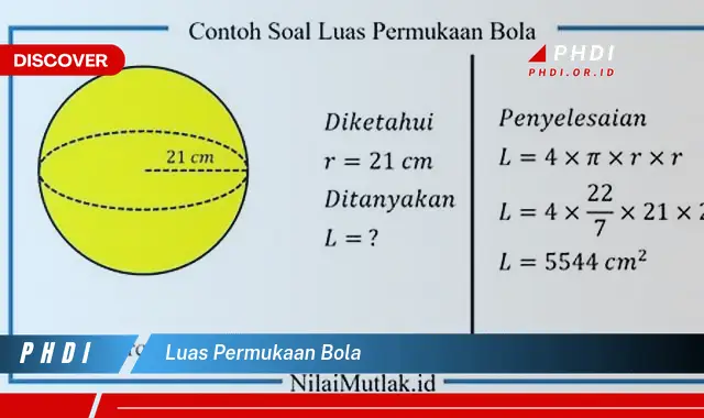 luas permukaan bola