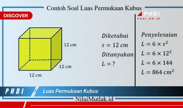 luas permukaan kubus