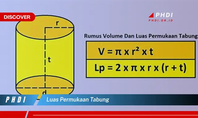 luas permukaan tabung