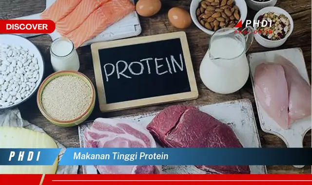 makanan tinggi protein