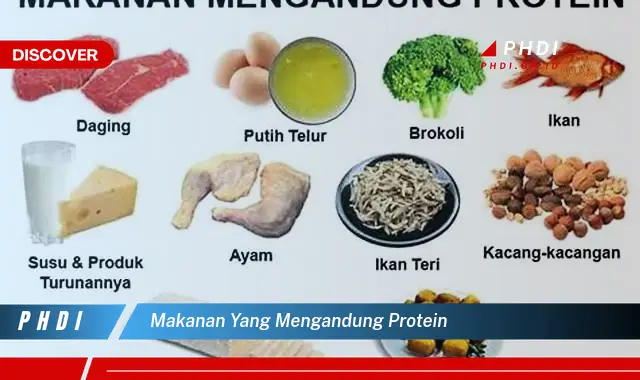 Ketahui Makanan yang Mengandung Protein yang Wajib Kamu Intip