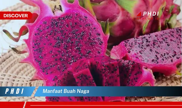 manfaat buah naga