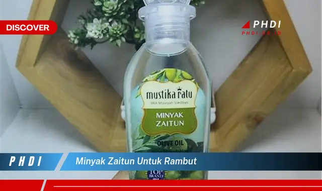 minyak zaitun untuk rambut