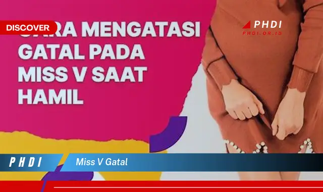 miss v gatal