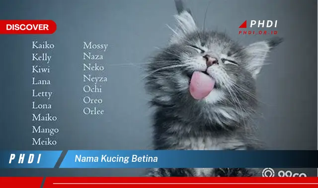 nama kucing betina