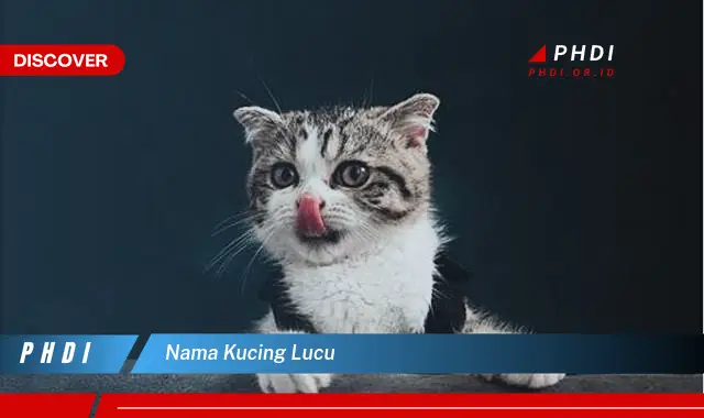 nama kucing lucu