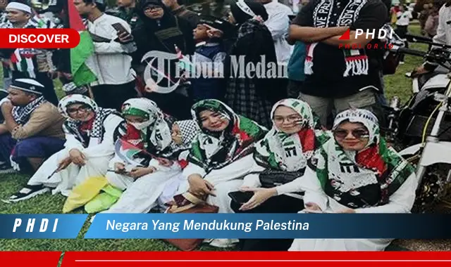 negara yang mendukung palestina