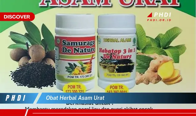 obat herbal asam urat