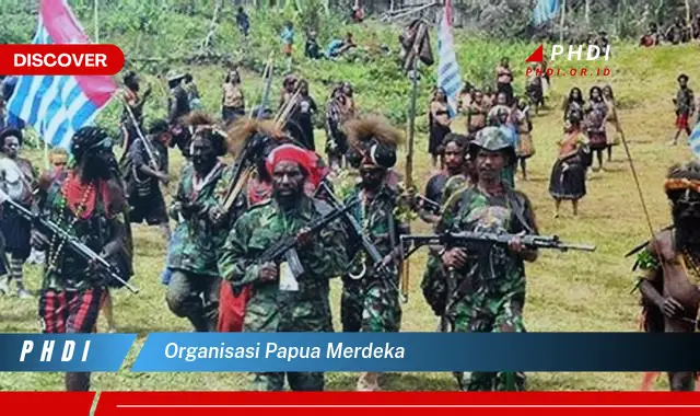 organisasi papua merdeka