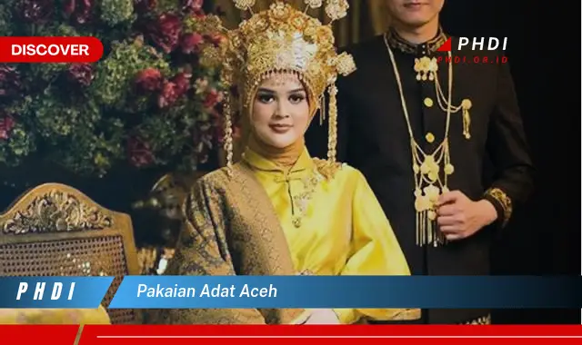 Intip Baju Adat Aceh yang Jarang Diketahui