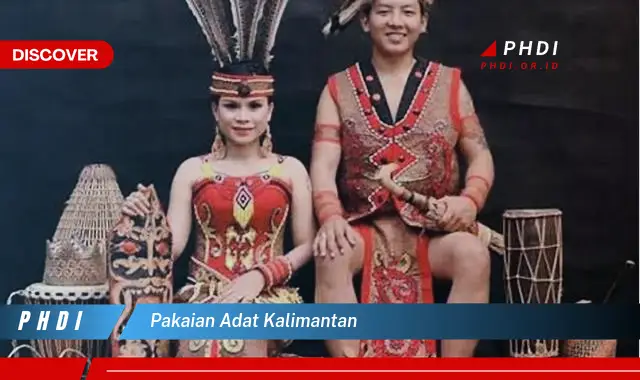 pakaian adat kalimantan