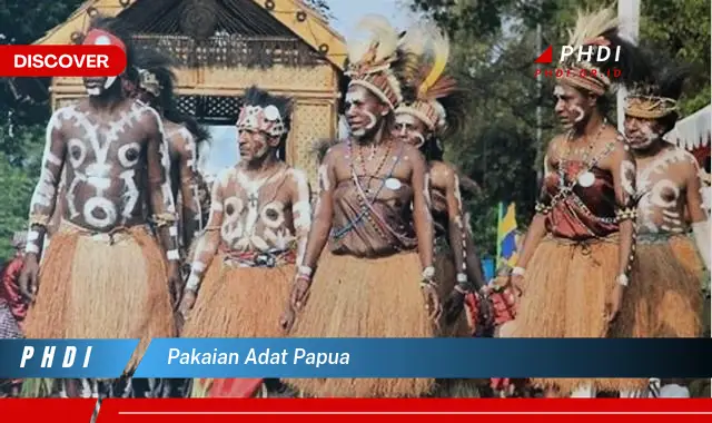 pakaian adat papua