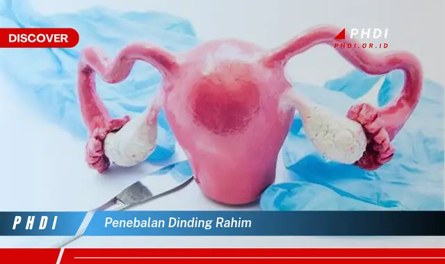 penebalan dinding rahim