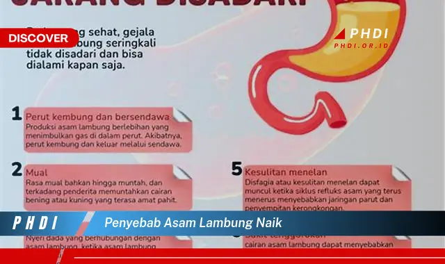 penyebab asam lambung naik