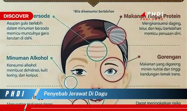 penyebab jerawat di dagu